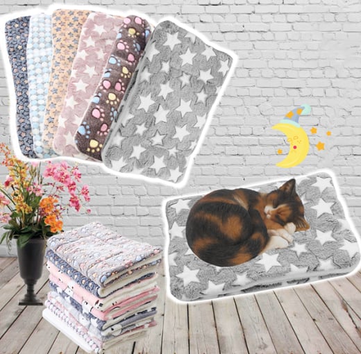 🎁2024 New Year Hot Sale🎁🔥 Cosy Calming Cat Blanket